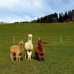 Brittenberg Schwarzenberg im Bregenzerwald