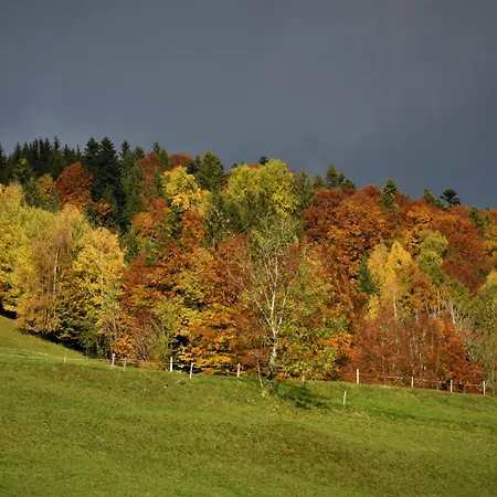 Brittenberg Εξοχικό σπίτι Schwarzenberg im Bregenzerwald