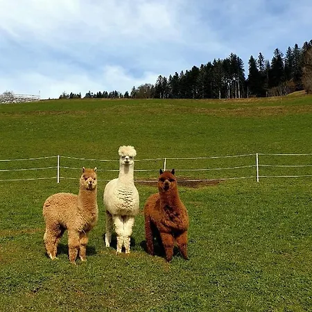 Brittenberg Schwarzenberg im Bregenzerwald