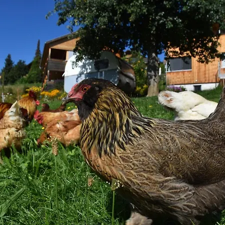 Brittenberg Schwarzenberg im Bregenzerwald