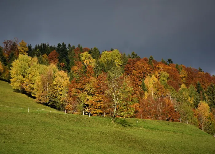 Brittenberg Εξοχικό σπίτι Schwarzenberg im Bregenzerwald