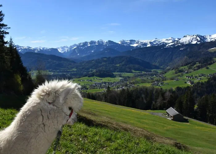 Εξοχικό σπίτι Brittenberg Schwarzenberg im Bregenzerwald